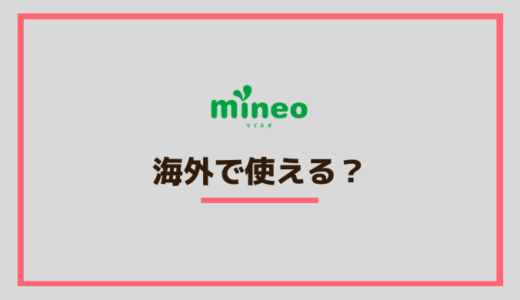 mineoは海外でも利用可能？インターネットは使える？